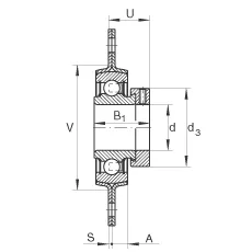 RAT12