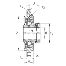 RFE40
