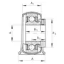 PB17