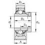 RAK2-7/16