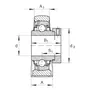 RASE80-AH01-FA164