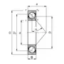 7004-B-TVP