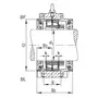 BND3038-H-W-T-BF-S
