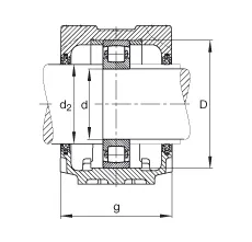 SNV100-F-L + 20211 + FSV211