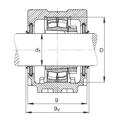 SNV100-F-L + 21309K + H309X107 + DHV609X107