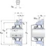 FY 45 LF