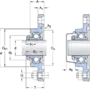 FYTB 1. LDW