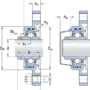 FYTBK 30 TR
