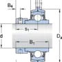 PF 25 WF