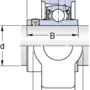 TUJ 50 TF