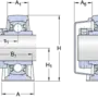 SY 25 WDW