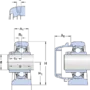 SYFWR 25 YTHR