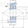 BEAM 017062-2RS/PE