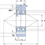 BEAM 020068-2RZ/PE