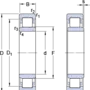 NU 207 ECPH