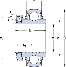 YSPAG 206