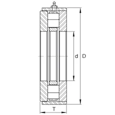 RWCT23