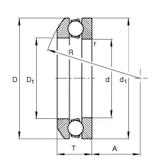 53309