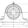 UCIP 213