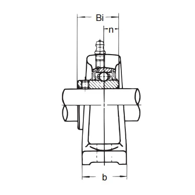 UCIP 213