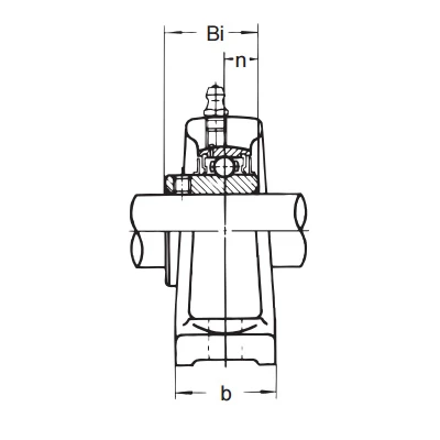 UCIP 313