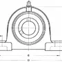 UCLP 202