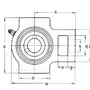 UCT 213